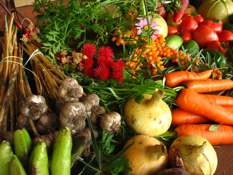 An assortment of colorful fresh vegetables